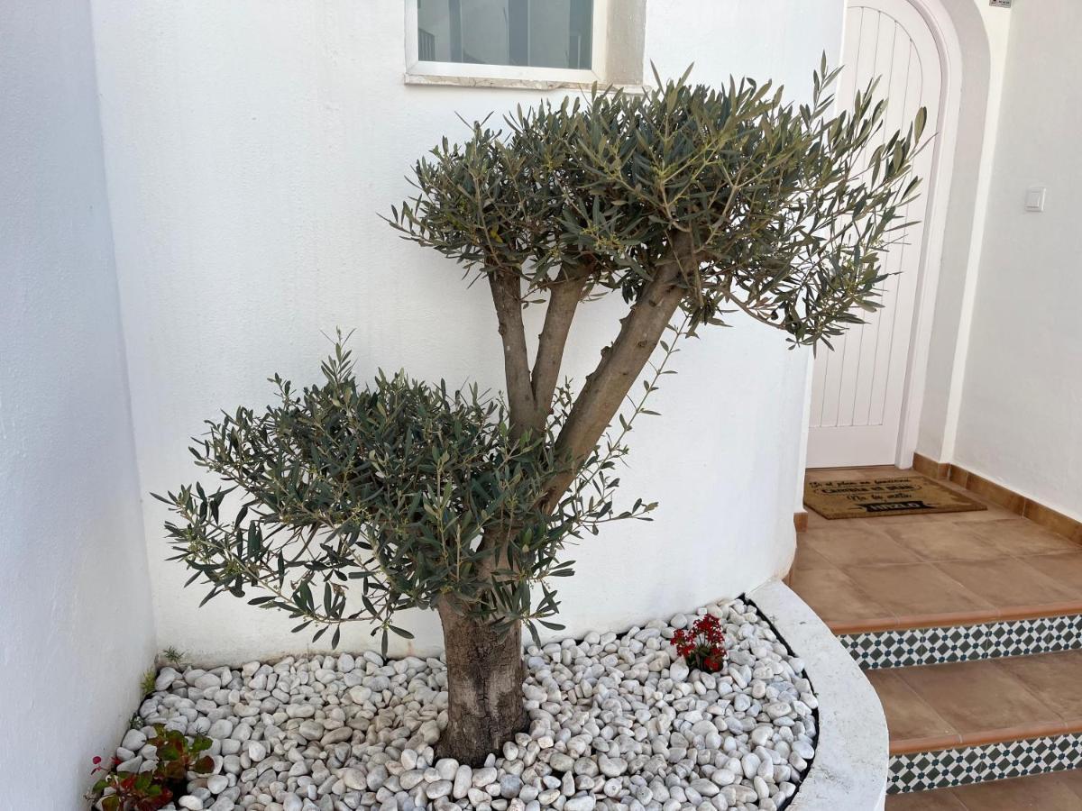 Casa Del Olivo Villa Almuñécar Kültér fotó
